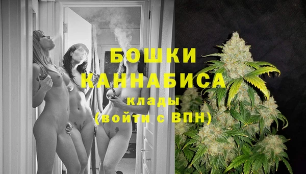 ПСИЛОЦИБИНОВЫЕ ГРИБЫ Семилуки