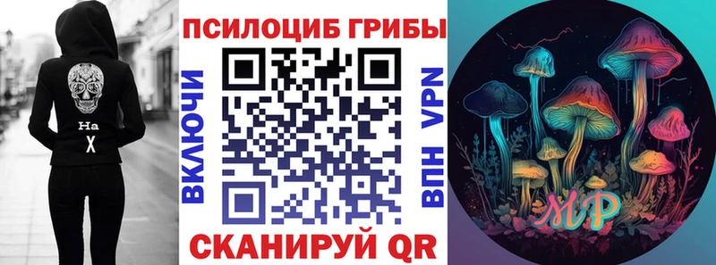 omg зеркало  Мышкин  Галлюциногенные грибы Psilocybine cubensis 